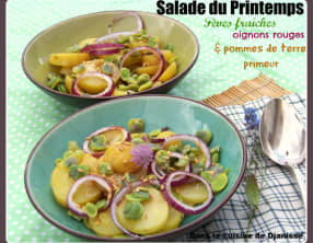 Salade du Printemps fèves, pommes de terre, oignons rouges