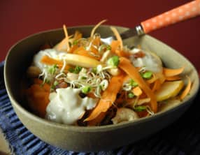 Salade sucrée salée de graines germées et carottes, sauce à la brousse