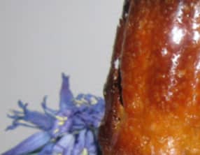 Cannelés à la violette