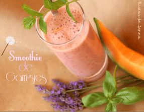 Smoothie de Garrigues