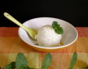 Glace au yaourt, menthe et citron vert