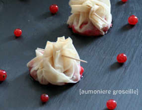 Aumônières aux Groseilles