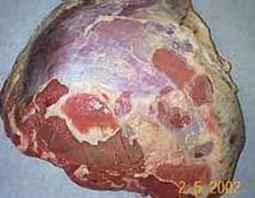 Parer une noix de veau