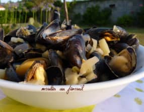 Moules de bouchot de l'Aiguillon au fenouil