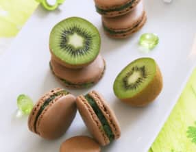 Macarons Impression kiwi