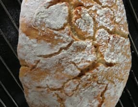 Le pain magique de Rose