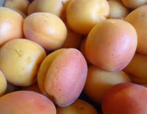 Congélation des abricots