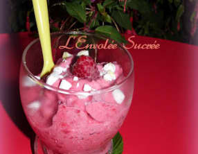 Frozen Yogurt Framboises Nectarine