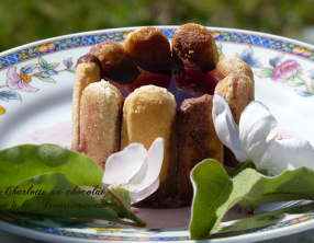 Charlotte au chocolat et à la Trousseminette