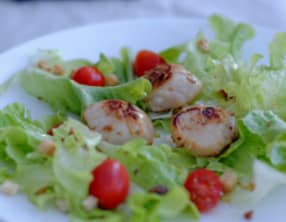 Salade de St Jacques à la plancha
