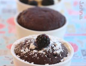 Minis moelleux au cacao