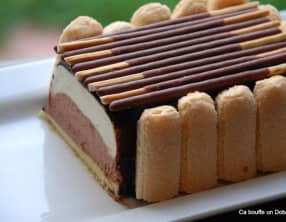 Charlotte-Bûche de Noël aux deux Chocolats