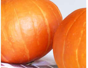 Velouté de potimarron