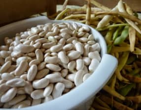 Mogettes de Vendée au foie gras