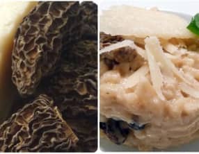 Risotto aux morilles