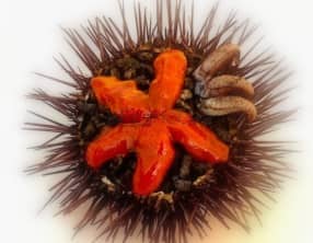 Pintxo de riz à l'encre de seiche et oursin