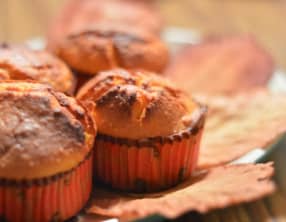 Pumpkin Muffin