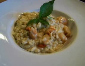 Risotto aux pétoncles et vin de Corse