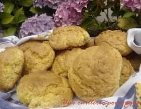 Les betchets de l'Ile d'Yeu