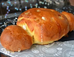 Cougnous "angélique"