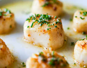 Noix de saint Jacques sautées