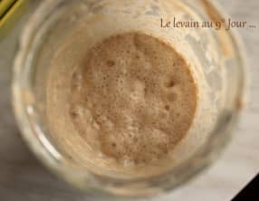 Le Levain Liquide de Mr Kayser