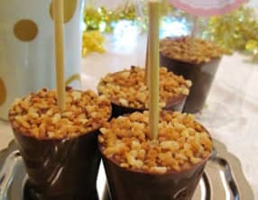 Sucettes de chocolat à fondre : chocolat au lait - praliné