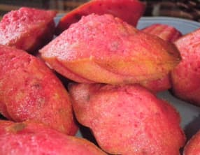 Madeleines à la rose et à la pistache