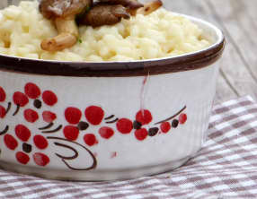 Risotto à la tome de cantal et pleurotes