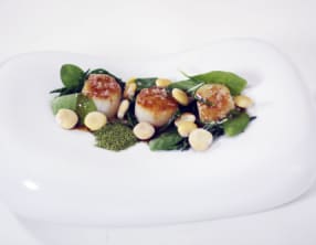 Saint-Jacques, lupins et salicornes, sauce "passion"