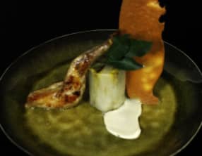 Chicon au massepain - lapin et miso