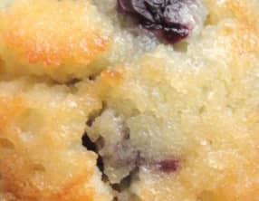 Financiers à la myrtille