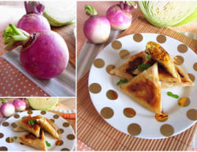 Samossas aux légumes d'hiver