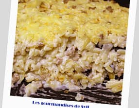 Gratin de pâtes grecques aux aubergines grillées