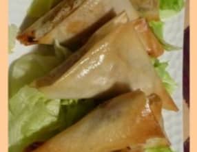 Petits croustillants au thon