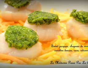 Saint jacques, chapeautées de coriandre, carottes douces