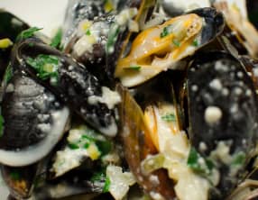 Moules au Roquefort