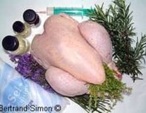 Poulet au gros sel