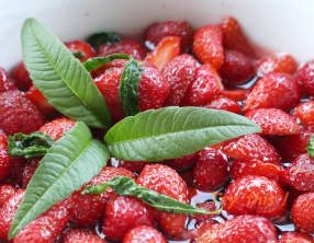 Fraises en infusion de verveine citronnelle