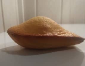 Des madeleines sans levure