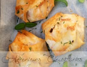 Aumônières Croustillantes de Saumon