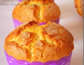 Madeleines espagnoles