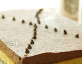 Entremet mousse au chocolat et fève tonka