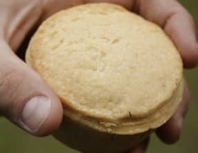 Petites tourtes au poulet et au curry