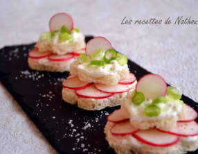 Petits toasts au fromage blanc et radis