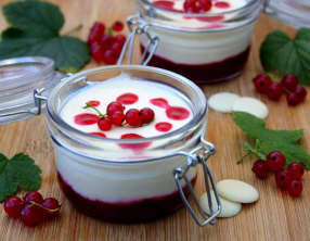 Crème mousseuse au chocolat blanc sur coulis de groseilles