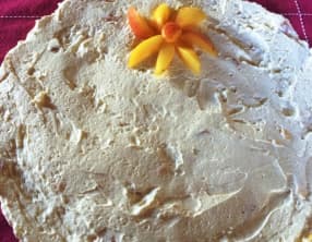 Gâteau glacé au yaourt et aux abricots sans cuisson