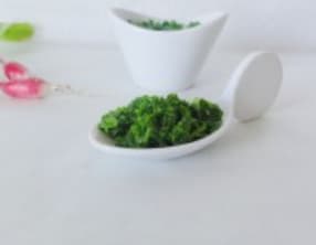 Pesto avec des fanes de radis