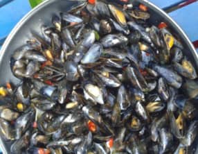 Brasucade de moules