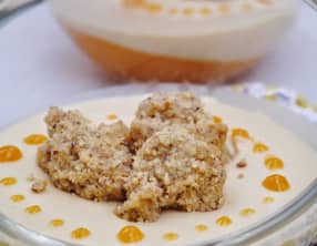 Panna cotta au Dulcey de Valrhona sur coulis d'abricot et streusel de noisette